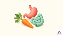 Que deviennent les aliments ?
